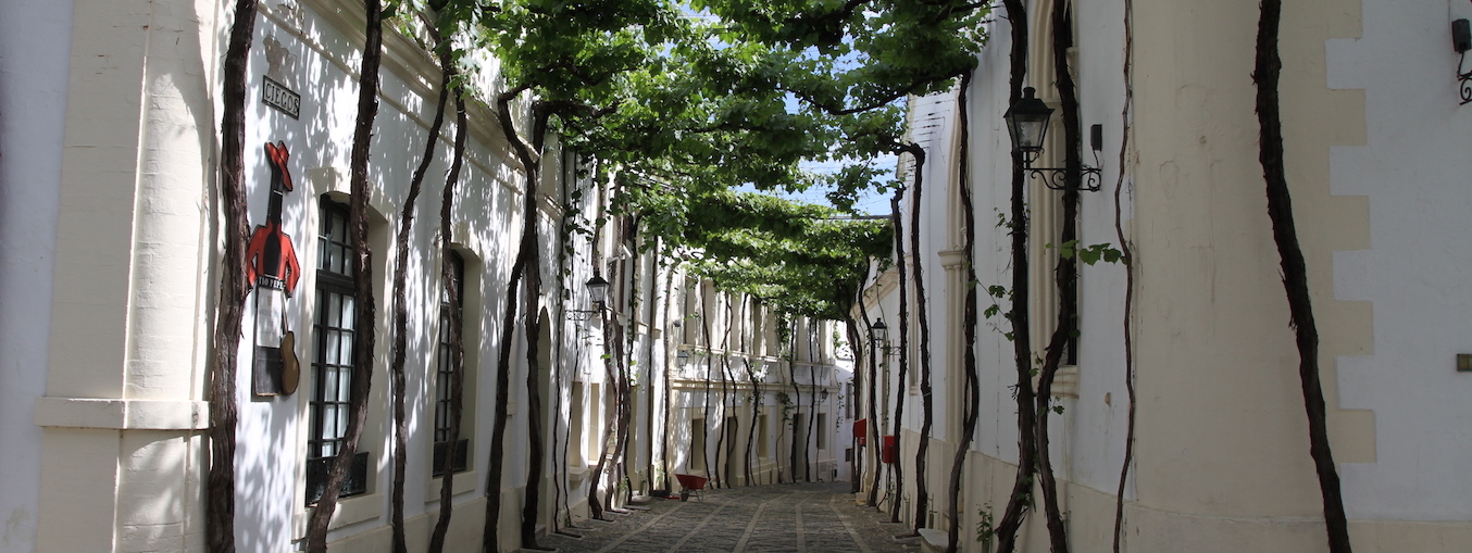 Bodega bei González Byass